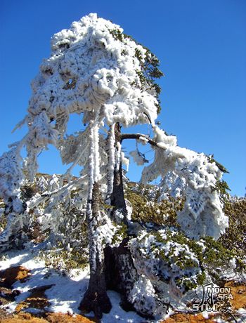 轿子雪山03.jpg